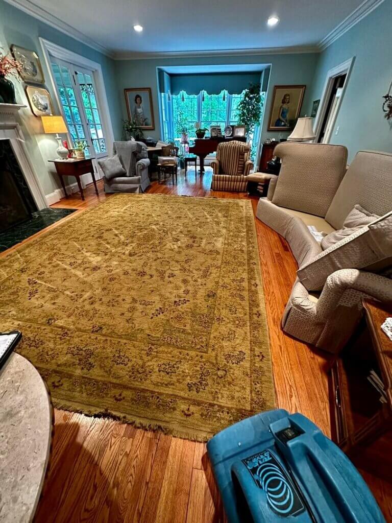 area rug cleaning service in Cleveland, TN and more. Call today for a free quote!